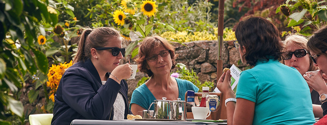 Mehrere Damen trinken Kaffee und Tee im Freien umgeben von Sonnenblumen bei einer Englisch Sprachreise