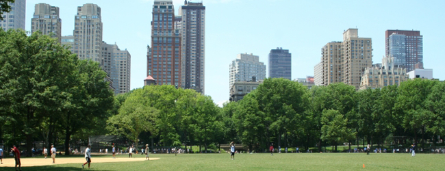 LISA-Sprachreisen-Erwachsene-Englisch-USA-New-York-Times-Square-Central-Park-Freizeit