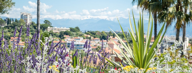 LISA-Sprachreisen-Erwachsene-Franzoesisch-Frankreich-Antibes-Schule-Terasse-Blick-Bucht