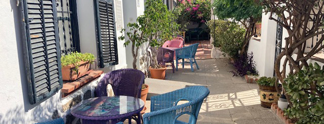 Schöner Innenhof mit Pflanzen und Stühlen an der LISA! Sprachschule in Malaga