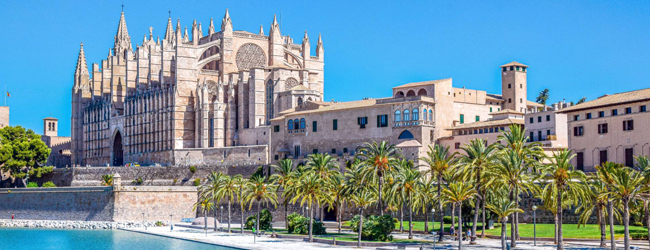 Blick auf die Kathedrale in Palma de Mallorca bei Sonnenschein mit Brunnen und Palmen