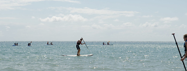 Auf dem glitzernden Meer befinden sich mehrere Schüler, die auf dem Paddelboard stehen oder sitzen